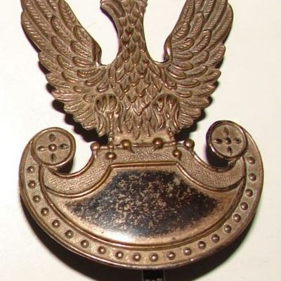 Polish Eagle WZ 19 made in France for M26 helmet. SOLD